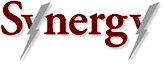 Synergy Investment