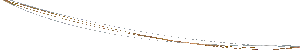 Synergy Revenue Management