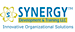 National Arts Strategies's Competitor - Synergydt logo