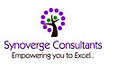 Synoverge Consultants's logo Synoverge Consultants's Company logo