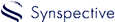 Synspective's company profile
