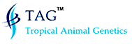 Taggnx's logo Taggnx's Company logo
