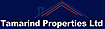 Tamarind Properties
