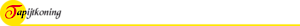 Tapijtkoning Weert's logo Tapijtkoning Weert's Company logo