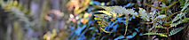 Tasmanian Ceramics Association's logo Tasmanian Ceramics Association's Company logo
