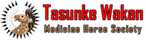 Tasunke Wakan's logo Tasunke Wakan's Company logo