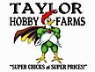 Taylor Hobby Farms's logo Taylor Hobby Farms's Company logo