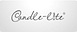 Tcc, Inc