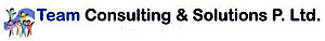 Team Consulting and Solutions's logo Team Consulting and Solutions's Company logo