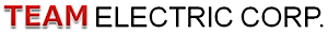 Teamelectricny's logo Teamelectricny's Company logo