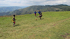 Team in Faith's logo Team in Faith's Company logo