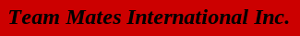 Team Mates International's logo Team Mates International's Company logo