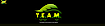 Island Transfer And Tours's Competitor - Team Transfers logo