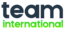 SectorSeven's Competitor - TEAM International Services Inc. logo
