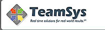 Teamsys's logo Teamsys's Company logo