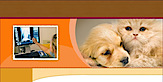 Teaneck Animal Clinic And Spa's logo Teaneck Animal Clinic And Spa's Company logo