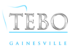 Tebo Family Dentistry Gainesville