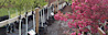 Techmer Nursery - Garden Center & Landscaping Services