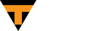 Techsive's logo Techsive's Company logo