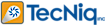TecNiq's company profile