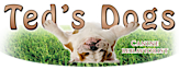 Ted's Dogs