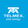 Telmex's logo Telmex's Company logo