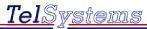 Telsystems's logo Telsystems's Company logo