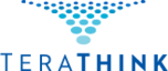 TeraThink