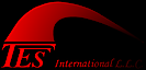 TES International's logo TES International's Company logo