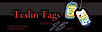 Teslin-tags