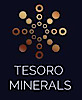 Tesoro Minerals's logo Tesoro Minerals's Company logo