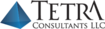Healy Consultants's Competitor - Tetra Consultants logo