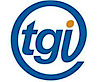 Tginc