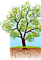 Council Of Churches-ozarks's Competitor - The American Church Magazine logo