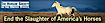 W.k. Kellogg Arabian Horse Center's Competitor - The Arabian Network Newsletter logo