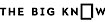VuMedi's Competitor - The Big Know logo