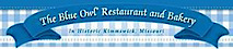 Theblueowl's logo Theblueowl's Company logo