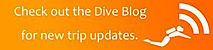 The Dive App