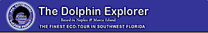 Dolphin Study's logo Dolphin Study's Company logo