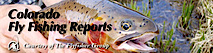 The Flyfisher Guide Service And Angling University