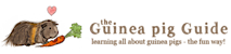 The Guinea Pig Guide's logo The Guinea Pig Guide's Company logo