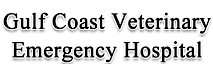 The Gulf Coast Veterinary Hospital