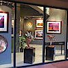 The Lou Deserio Gallery