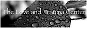 The Love and Trauma Center's logo The Love and Trauma Center's Company logo