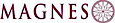 The Magnes Group Inc.