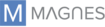 The Magnes Group