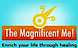 Energy Healing For All Ages's Competitor - The Magnificent Me logo