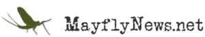 Mayflynews