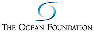 The Ocean Foundation's logo The Ocean Foundation's Company logo