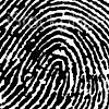 The Passport Project's logo The Passport Project's Company logo